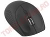 Mouse Wireless cu Bluetooth Esperanza EM123K
