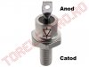 Diode Redresoare > Dioda de Putere   20A 1200V cu Catod la surub M5 D2220N12-KS