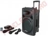 Boxa 10” 500Wmuz Amplificata Portabila cu Acumulator, Microfoane Wireless, Telecomanda, Bluetooth si Player USB PORT10VHF-BT/EP