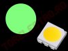 Led SMD5050GMAR Verde Marin Deschis  28 lumeni pentru Tuning Auto - set 10 bucati