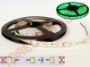 Banda LED Verde SMD3528W 60LED/m de Interior fara Silicon RGW2139/TC la Rola 5m