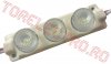 Modul cu LED > Modul 3xLED SMD5730 Alb Rece 12V 3100mW Plasticat de Exterior IP67 MCW5892/TC