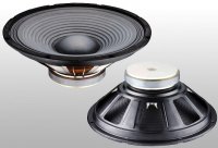 Difuzor  10 inch Alien AN-2610-4 180W 4ohm