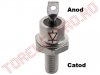 Diode Redresoare > Dioda de Putere   25A 1600V cu Catod la Surub M5 D25R1600-KS