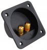 Conectori, Hornuri, Manere > Conector Boxa Audio 80x80mm cu 2 Borne lungi Aurii CC0241