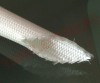 Varnis Termorezistent din Fibra de Sticla si Silicon 10 mm 180*C VTT10 Alb - rola 50m