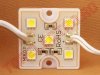 Modul 5xLED SMD5050 Alb Rece 12V  800mW Siliconat de Exterior IP67 MCW0473/TC