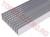 Radiator Statie Modul Putere Tranzistori Finali din Aluminiu RAD0659 124x500x35mm