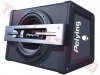 Tun Bass Auto 10” 400W cu Amplificator PYBA250X Peiying